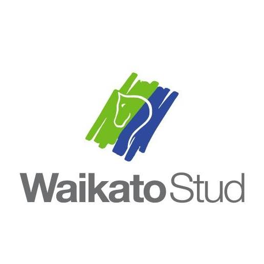 Te Rapa Racecourse Waikato Thoroughbred Racing